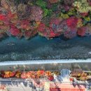 철암농산물 이미지