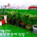 튜울립지역아동센터 이미지