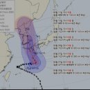 태풍 카눈이 역대급 매미나 루사급 이라구요? 이미지