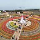 신안축구장 축구장 이미지