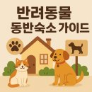 서해동물병원 | 우리 댕냥이도 인생샷 찍자! 테마별 국내 반려동물 동반 숙소 완벽 가이드