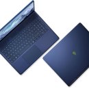 대상펫라이프(주) 이미지