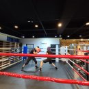 라이언복싱gym 이미지