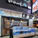 바다어부