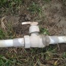 일재농장 이미지