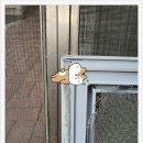 성서보람타운 네이버블로그