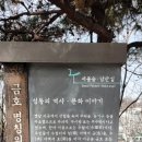 안정사터 마애불 명문 약사불 이미지