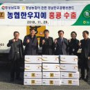 농협한우지예 조합공동사업법인 이미지