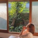 스테이 아모 이미지