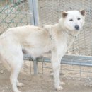 진도축산 이미지