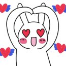 핑스애견펜션 이미지