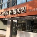 조항일동물병원 이미지