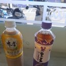 해진주