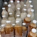 더프리미엄 인공수정소 | [노원 맛집] 수다미찬 : 프리미엄 반찬 + 김밥 추천! 내돈내산 방문 후기