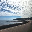 CU축산항점 | 영덕 노지캠핑 축산항,경정해변 스노클링