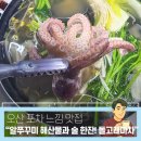 오산 맛집 봄밤 감성에 취하다! 해산물과 술 한 잔의 정석, '돌고래마차' 솔직 후기