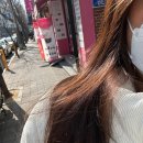 달동 미용실 베이직헤어 염색 시술 후기 클리닉 아님 주의