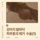 수색동물병원 이미지