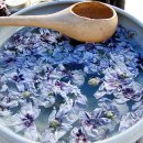 무궁화마트 이미지