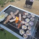 도그팰리스 이미지