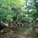 로그159 | 도명산 캠핑 초보자 완전정복, 승암159캠핑장 가성비 가이드