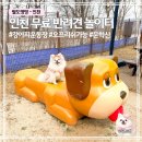 강아지놀이터 | 인천 문학산 반려견 놀이터 | 무료 강아지 운동장 이용 후기
