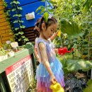 [바깥놀이] 물그림 그리기💦 이미지