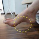 짐앤테라피 피티 이미지