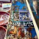 대부도 탄도항 수산시장 어촌계 회센터 방문 후기