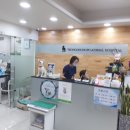 여의도 동물병원 이미지