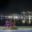 호텔 디옴므 이미지