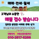 탑자이부동산공인중개사사무소 이미지