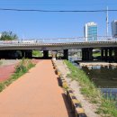 대전 삼대 하천 트레킹 이미지