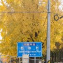 용답꽃공원 이미지