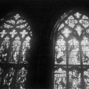 고스고스2 이미지