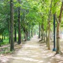 광주광역시북구 드론비행연습장 이미지