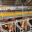 이상철농장 이미지