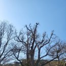 흥주사 | 태안 백화산 구름다리 코스 추천: 흥주사에서 정상까지, 소요시간 및 주차 정보 총정리