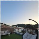 피츠로이가든 이미지