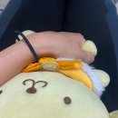 뽑아부러 이미지