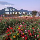 황산공원 1구장주차장 8번 | [국내여행] 경남 양산 가을 나들이 가기 좋은 곳, 피크닉 명소 추천