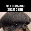 동네 미용실 이미지