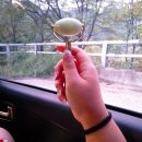 봉산휴게쉼터 이미지