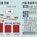 서울동물메디컬센터 이미지