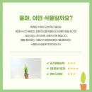 율마루 이미지