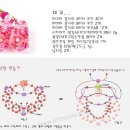 아트슈즈 이미지