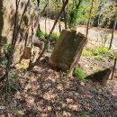 장산토성 이미지