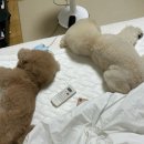 생생병원 | 39주+2일 초산 자연분만 생생한 출산 후기(운정와이즈병원)