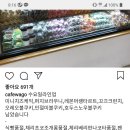 와줘서고마워 네이버블로그
