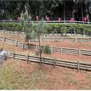 연제문화체육시설 이미지